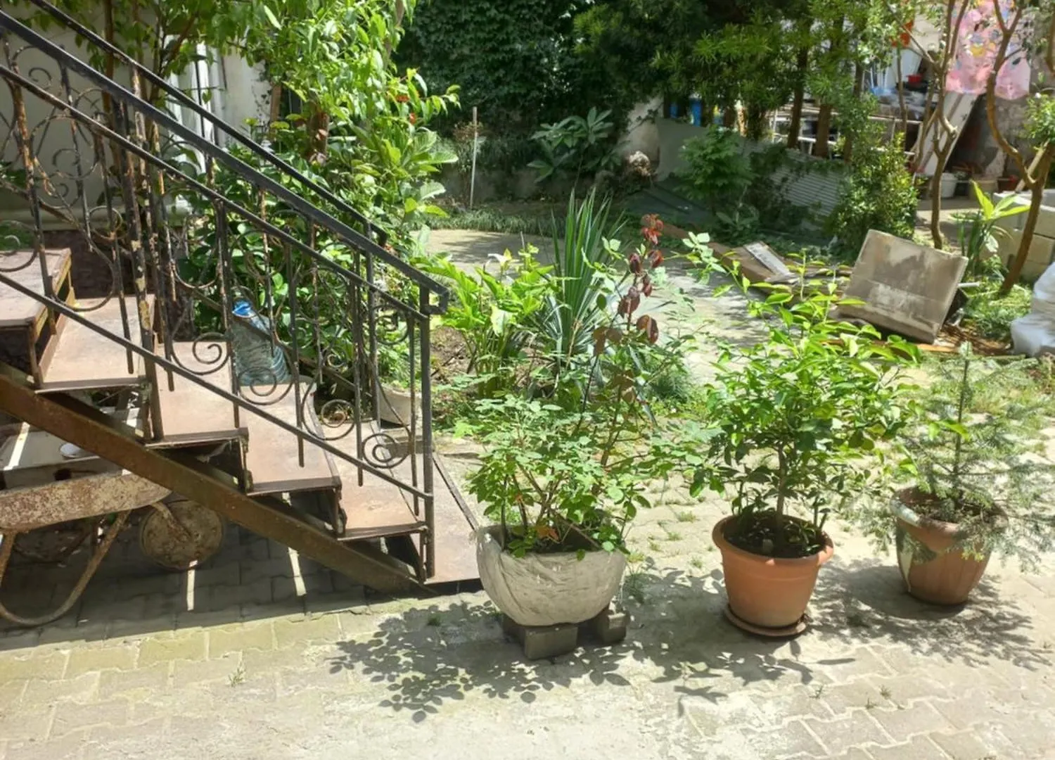 Mzia'S Apartment Batumi